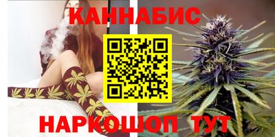 Альфа ПВП Дубна
