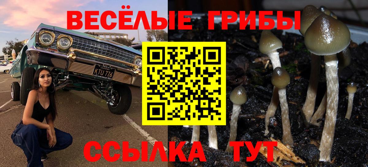 Галлюциногенные грибы мицелий Муравленко