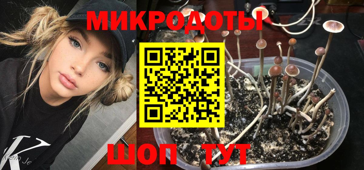 Галлюциногенные грибы ЛСД  Вход с VPN  Муравленко 